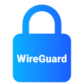 WireGuard